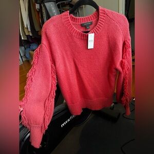 Ann Taylor Pink Sweater with Fringe Sleeves